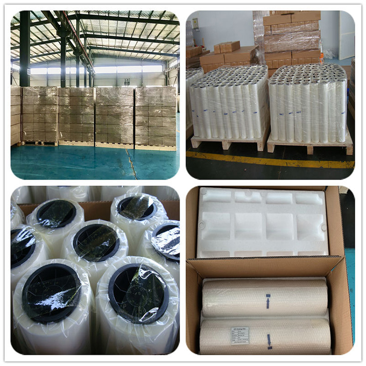 Película de transferencia térmica DTF